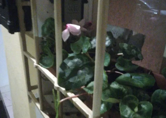 Bed & Breakfast Il Vecchio Portico